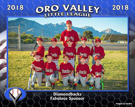 OV LL 8x10 Team Plaque