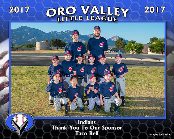 Oro Valley LL Team
