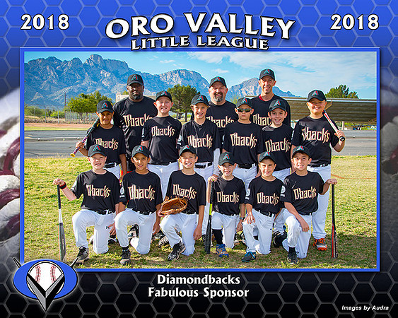 OV LL 8x10 Team