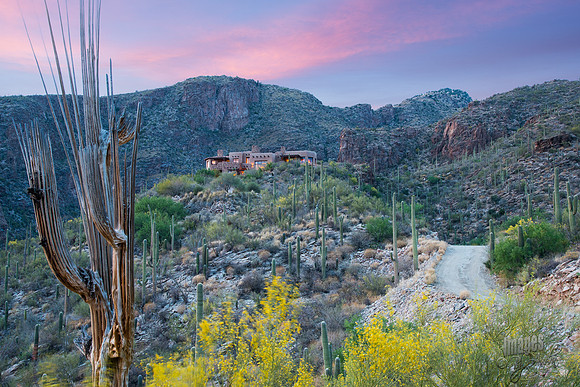 Rattlesnake Canyon-0095