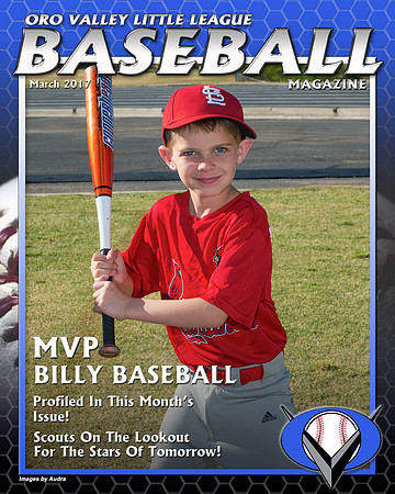 Oro Valley Little League DMC